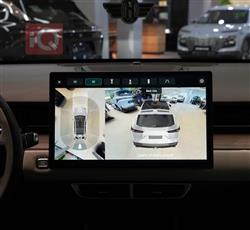 جيتور داشينج